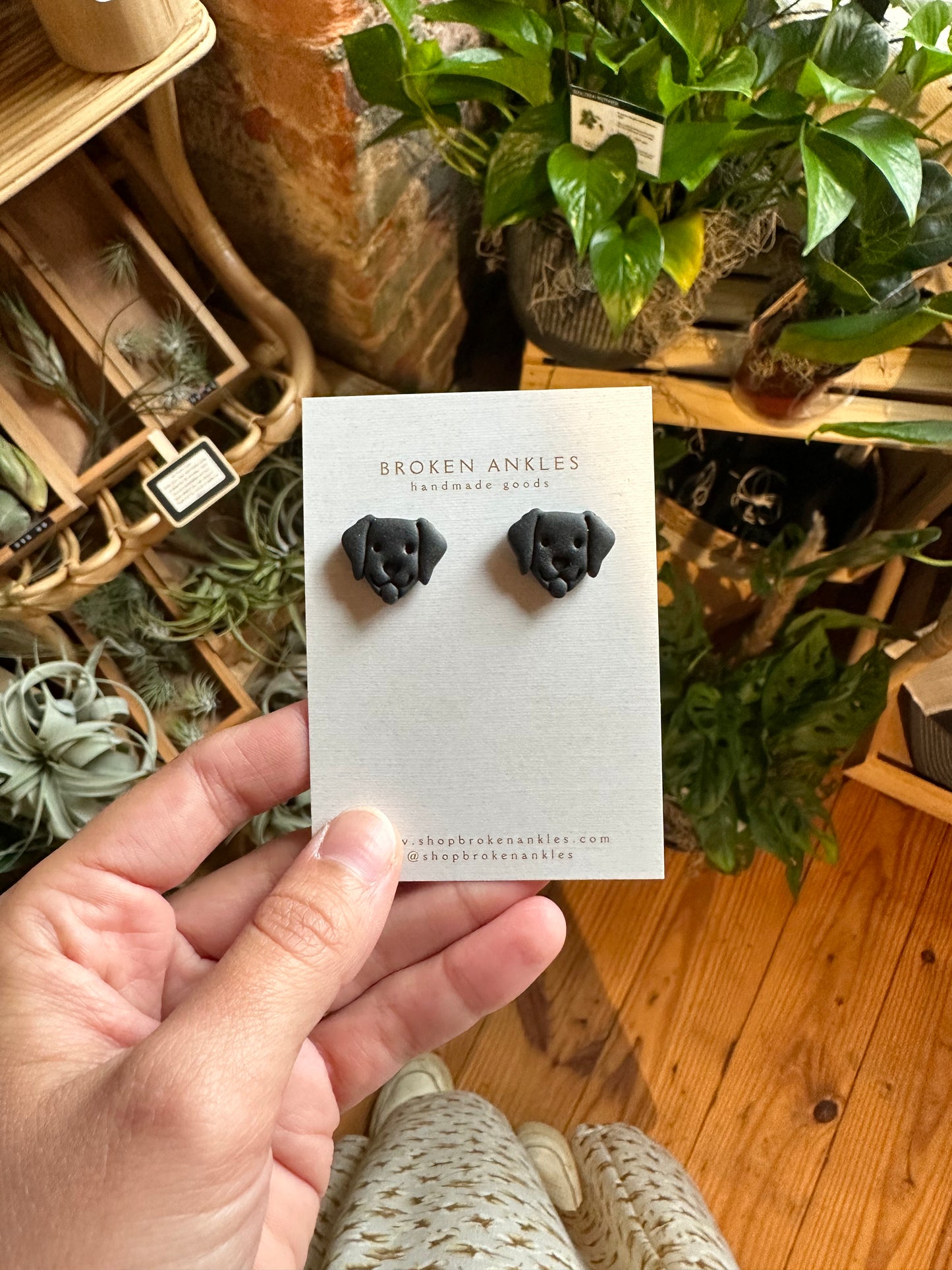 Dog Studs